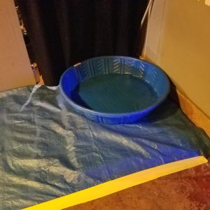 piss pool at the Yellow and Black party